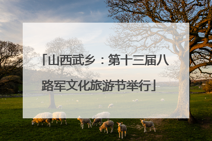 山西武乡：第十三届八路军文化旅游节举行
