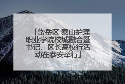 岱岳区 泰山护理职业学院校城融合暨书记、区长高校行活动在泰安举行