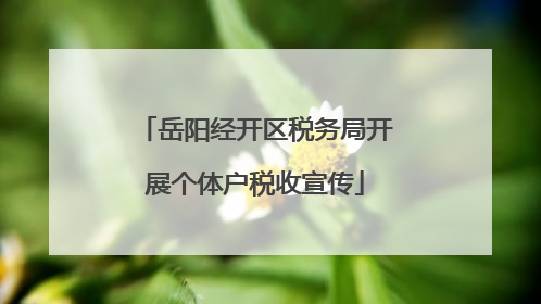 岳阳经开区税务局开展个体户税收宣传