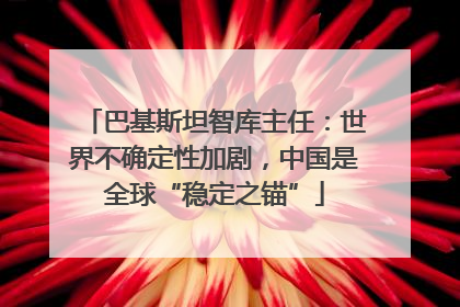 巴基斯坦智库主任：世界不确定性加剧，中国是全球“稳定之锚”