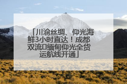 川渝丝绸、仰光海鲜3小时直达！成都双流⇌缅甸仰光全货运航线开通