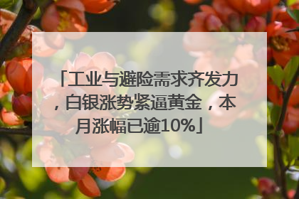 工业与避险需求齐发力，白银涨势紧逼黄金，本月涨幅已逾10%