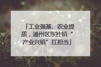 工业强基、农业提质，通州区东社镇“产业兴镇”扛担当