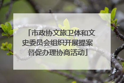 市政协文旅卫体和文史委员会组织开展提案督促办理协商活动