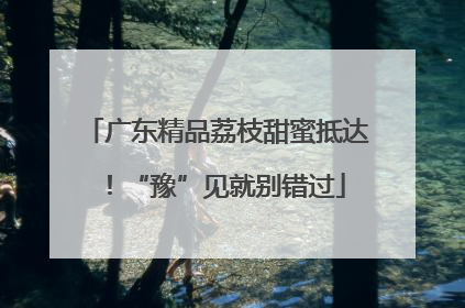 广东精品荔枝甜蜜抵达！“豫”见就别错过