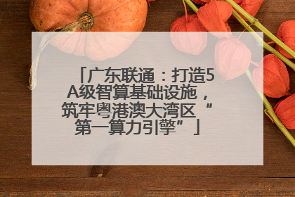 广东联通：打造5A级智算基础设施，筑牢粤港澳大湾区“第一算力引擎”