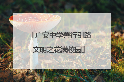 广安中学善行引路 文明之花满校园