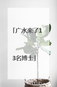 广水来了13名博士