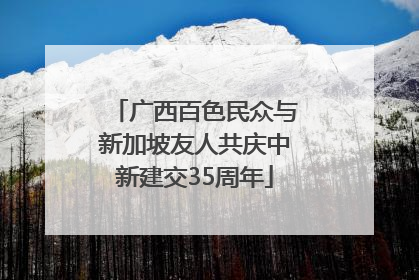 广西百色民众与新加坡友人共庆中新建交35周年