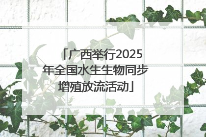 广西举行2025年全国水生生物同步增殖放流活动