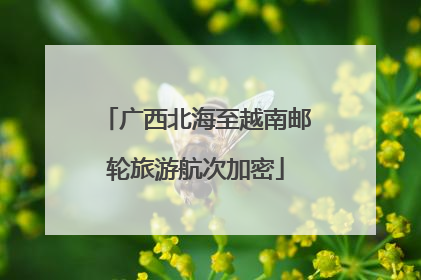广西北海至越南邮轮旅游航次加密