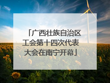 广西壮族自治区工会第十四次代表大会在南宁开幕