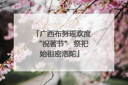 广西布努瑶欢度“祝著节” 祭祀始祖密洛陀