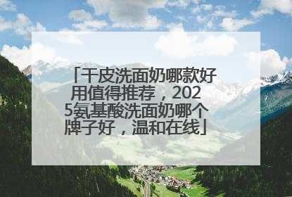 干皮洗面奶哪款好用值得推荐，2025氨基酸洗面奶哪个牌子好，温和在线