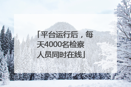 平台运行后，每天4000名检察人员同时在线