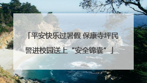 平安快乐过暑假 保康寺坪民警进校园送上“安全锦囊”