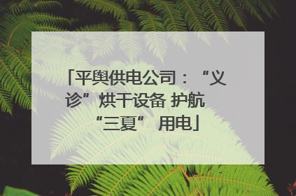 平舆供电公司：“义诊”烘干设备 护航 “三夏” 用电