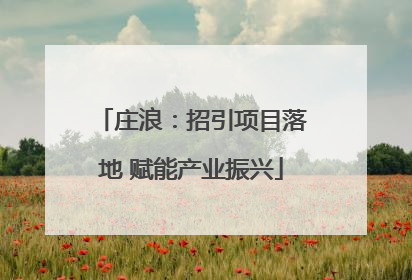 庄浪：招引项目落地 赋能产业振兴