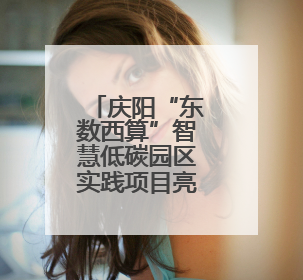 庆阳“东数西算”智慧低碳园区实践项目亮相第三届上海碳博会