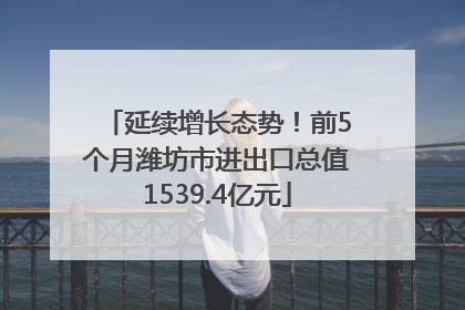 延续增长态势！前5个月潍坊市进出口总值1539.4亿元