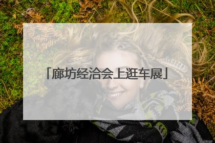 廊坊经洽会上逛车展