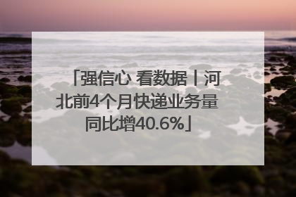 强信心 看数据丨河北前4个月快递业务量同比增40.6%