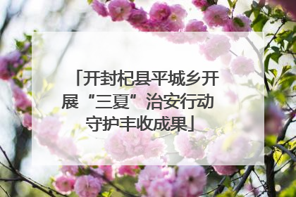 开封杞县平城乡开展“三夏”治安行动 守护丰收成果