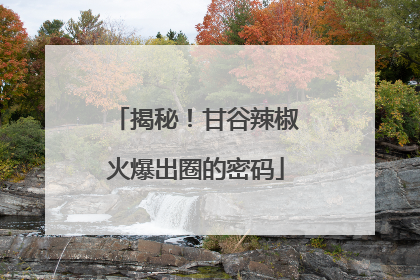 揭秘！甘谷辣椒火爆出圈的密码