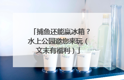 捕鱼还能赢冰箱？水上公园邀您来玩（文末有福利）