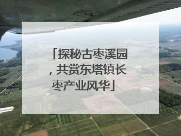 探秘古枣溪园，共赏东塔镇长枣产业风华