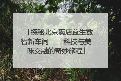 探秘北京窦店益生数智新车间——科技与美味交融的奇妙旅程