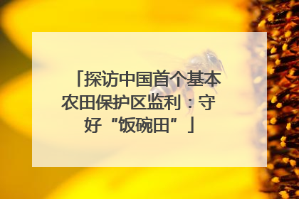 探访中国首个基本农田保护区监利：守好“饭碗田”