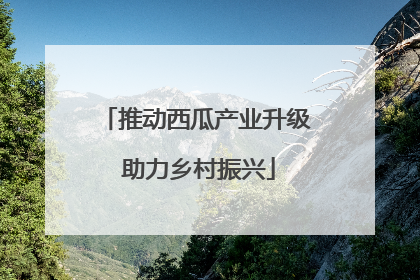 推动西瓜产业升级 助力乡村振兴