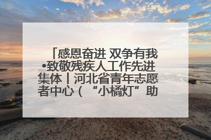 感恩奋进 双争有我•致敬残疾人工作先进集体丨河北省青年志愿者中心（“小橘灯”助残接力计划实施团队）：用温暖陪伴，守护特殊孩子成长