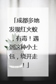成都多地发现红火蚁，有毒！遇到这种小土包，绕开走！