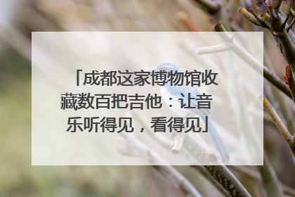 成都这家博物馆收藏数百把吉他：让音乐听得见，看得见