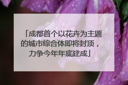 成都首个以花卉为主题的城市综合体即将封顶，力争今年年底建成