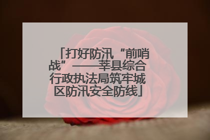 打好防汛“前哨战”——莘县综合行政执法局筑牢城区防汛安全防线
