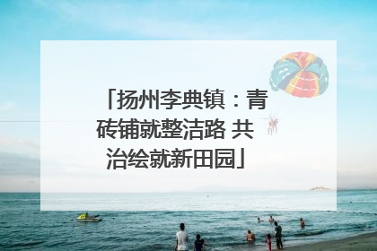扬州李典镇：青砖铺就整洁路 共治绘就新田园