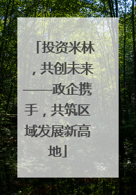 投资米林，共创未来——政企携手，共筑区域发展新高地