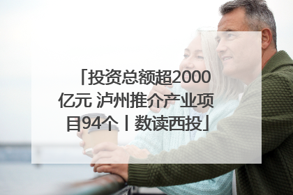 投资总额超2000亿元 泸州推介产业项目94个丨数读西投