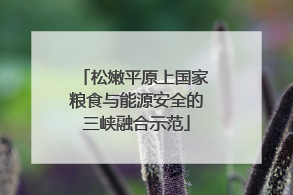 松嫩平原上国家粮食与能源安全的三峡融合示范