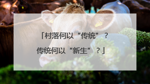 村落何以“传统”？传统何以“新生”？