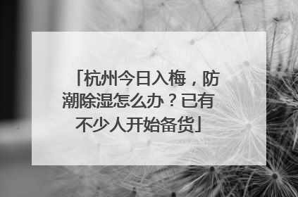 杭州今日入梅，防潮除湿怎么办？已有不少人开始备货