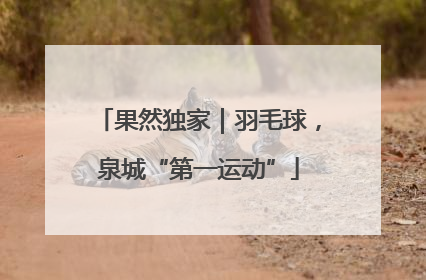 果然独家｜羽毛球，泉城“第一运动”