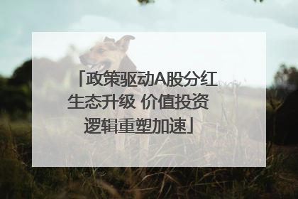 政策驱动A股分红生态升级 价值投资逻辑重塑加速
