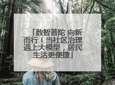 数智普陀 向新而行〡当社区治理遇上大模型，居民生活更便捷