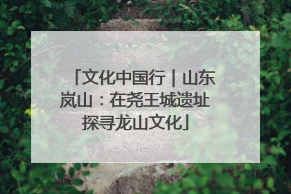 文化中国行｜山东岚山：在尧王城遗址探寻龙山文化