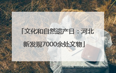 文化和自然遗产日：河北新发现7000余处文物