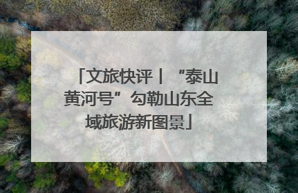 文旅快评丨“泰山黄河号”勾勒山东全域旅游新图景